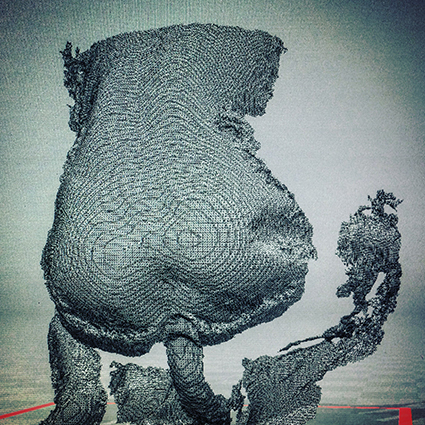 Interrupted 3D scan by artist Paul Coombs
